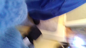 Verification Video - verification-video - Video 2729019