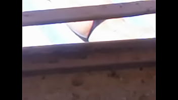 Bundinha Linda Da Minha Vizinha