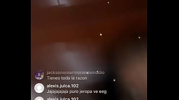 Descuidos De Elvira Palomino