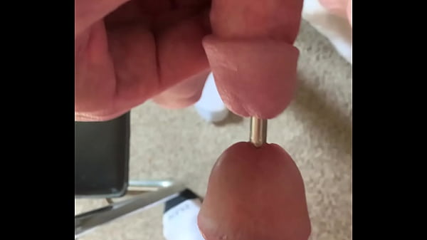 Puppdog Double Sounds With Scruffy Pup