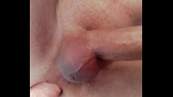 Tomaso Ballarina Reitet Seinen Doublelayer Schwan