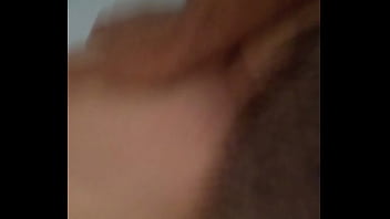 Carreteiro Mandando A Madeira