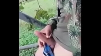 Paja Milicos Habana Cuba