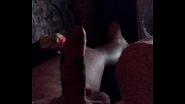 Big-cock, Soloboy, Meu-pau - Unknown - 2025 - Wild - Scene - Video 2603894
