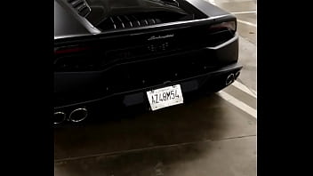 Interracial, Black-cock, Novhina - Interracial - 2025 - Incredible - Scene - Video 2616453