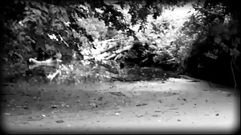 Anal, Dildo, Ass, Amateur, Toy, Smalltits, Masturbation, Solo, Tranny, Shemale, Masturbate, Small-ti - Shemale - 2025 - Sexy - Show - Video 2599987