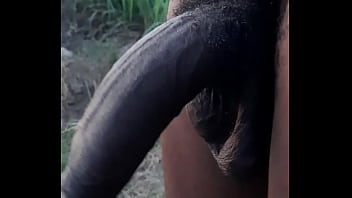 Jamaicandick, Janigga, Janiggahungdick, Hungjamaican, Janiggadick - Unknown - 2025 - Incredible - Scene - Video 2598114