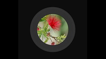 Fingering, Camgirl - Cam_porn - 2025 - Intense - Scene - Video 2577023