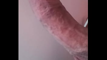 Video De Vérification - verification-video - Video 2586888