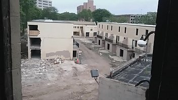 Natty and Road Stink (New Haven _18)