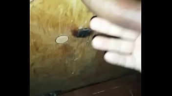 Paja En Gloryhole Gdl 1