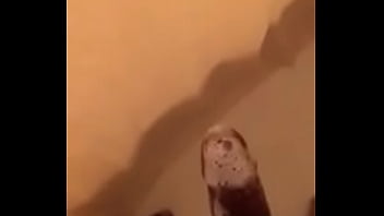 Looking For Some Good Pussy