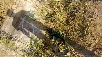 O Cavalo Mais Uma Vez Aprontando