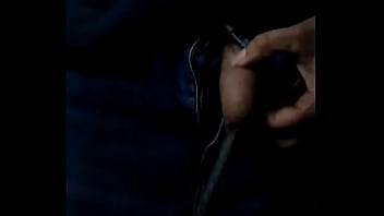 Free Willy And Relax