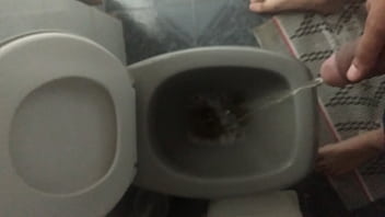 Para As Mulheres Que Acham Que Pau Duro De Manhã é Excitação