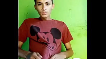 Novinho Pauzudo 20 Cm
