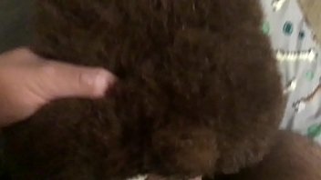 Dry Boning My Teddy Boyfriend