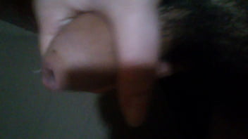 Un Poco De Leche De La Noche Para Quien Quiera