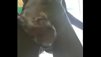 Batendo Uma Em Casa - teen, black, hardcore, big, hot, toy, big-ass, big-tits, gozada, big-cock, big-dick, big-boobs - Video 2516900