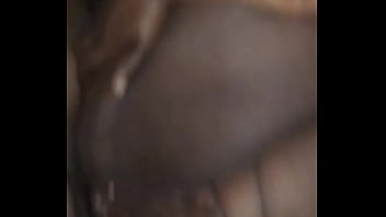 Evening With A Cougar