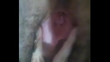 Puta, Chichis, Cojer, Autlan, Solano - Unknown - 2025 - Passionate - Performance - Video 2525195