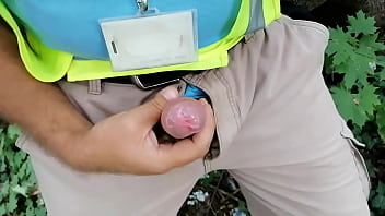 Varró Cotton In Forest