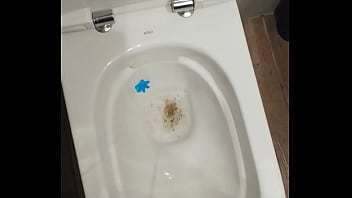 Pissing In Public Toilet - shemale, piss, public-toilet - Video 2524219