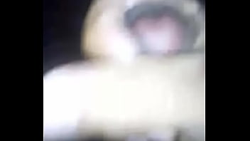 Hermoso Tucumano Pijudoo