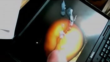 Tribute For Pumaforza