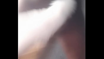 Twerking It With Two Tail Feathers