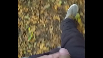 Handjob, Public, Gay, Cruising - Gay - 2025 - Wild - Session - Video 2497186