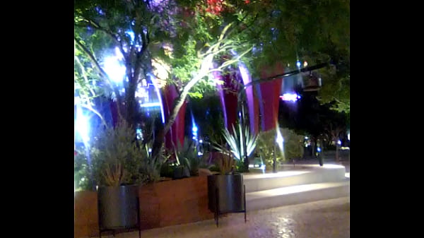 Verification Video - verification-video - Video 2540376