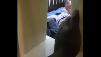 Wife Cheats And Caught.