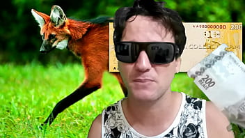 Me Decepcionei Com A Nota De 200 Reais