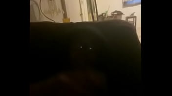 Verification Video - verification-video - Video 2522610