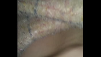 Gatita, Gato - Unknown - 2025 - Wild - Show - Video 2442088