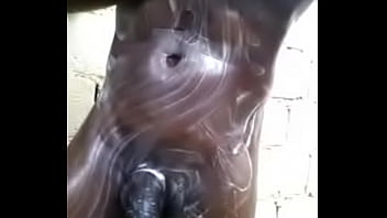 Black Solo Hung Taking A Soap Bath