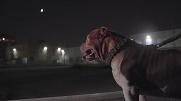 Instagram: @princemofioso