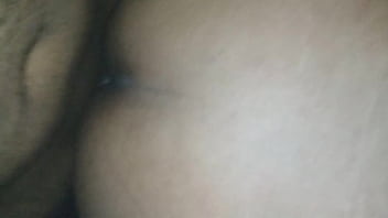 Gordinha Veio Ajudar Na Obra