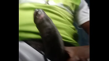 De Pau Duro No _nibus