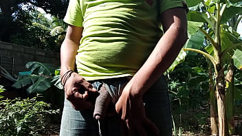 Meando En El Patio De La Casa