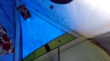 Ashley Cutler The Head Monster