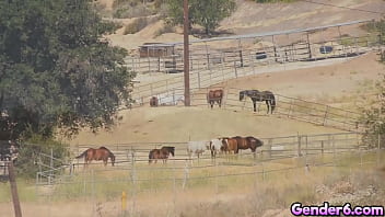 Transsexual Hitchhiker Crystal M Gets Picked Up By A Driver And Returns The Favor By Sucking His Cock In The Car And Then Going For An Anal Ride!