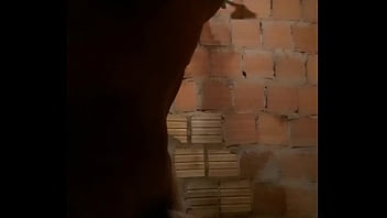 Video De Verificação - sexy, cock - Video 2425320