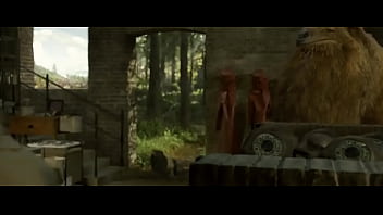 Animais Pai D_éguas E Onde Fodem