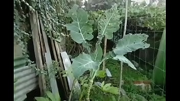 Cinema De Arte Lindas Belas Bonitas Mulheres Meninas Beautiful Wonderful Girls Ladies Mulheres Nuas Mamas Tetas Big Boobs Natural Tits Nude Couves Praia Beach