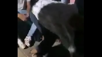 Pussy, Ass, Ebony, Public, Puta - Femdom - 2025 - Hot - Session - Video 2212624