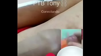 Falcãonth E Tonynth