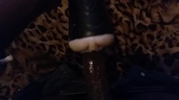 Soloboy, Brinquedo, Masturbado, Vagina-lanterna, Gatos-atrapalhando - Unknown - 2025 - Sexy - Experience - Video 2369738