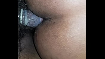 Mauritius Cock Dan Mo Fess